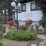 Santa Fara