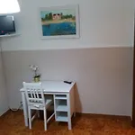 Santa Fara